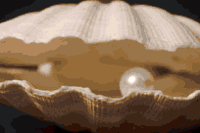 Pearls in Hand Rehabilitation